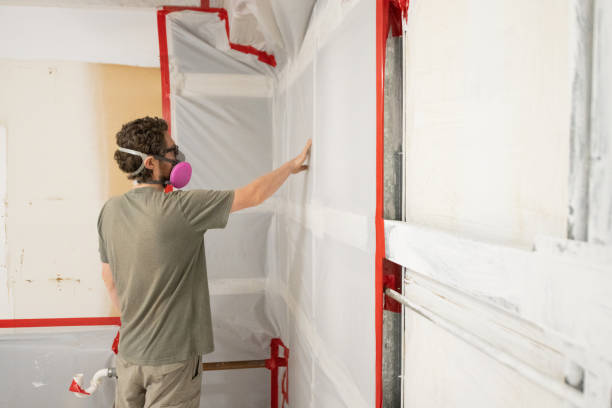 Mold Remediation for Rental Properties in Graham, TX