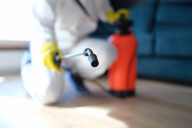  Graham, TX Mold Removal Pros