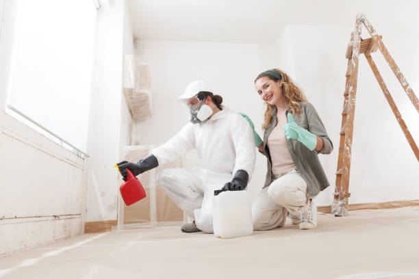 Best Commercial Mold Inspection  in Graham, TX